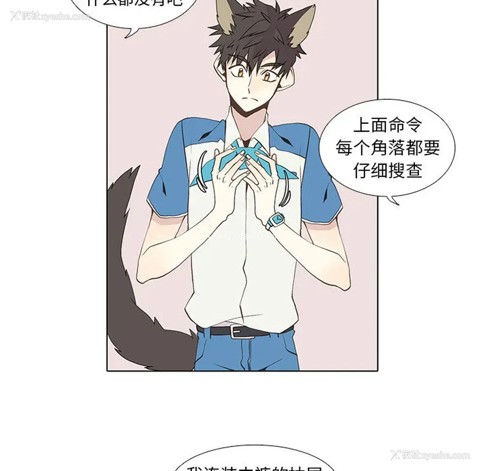 32P - 野性之城