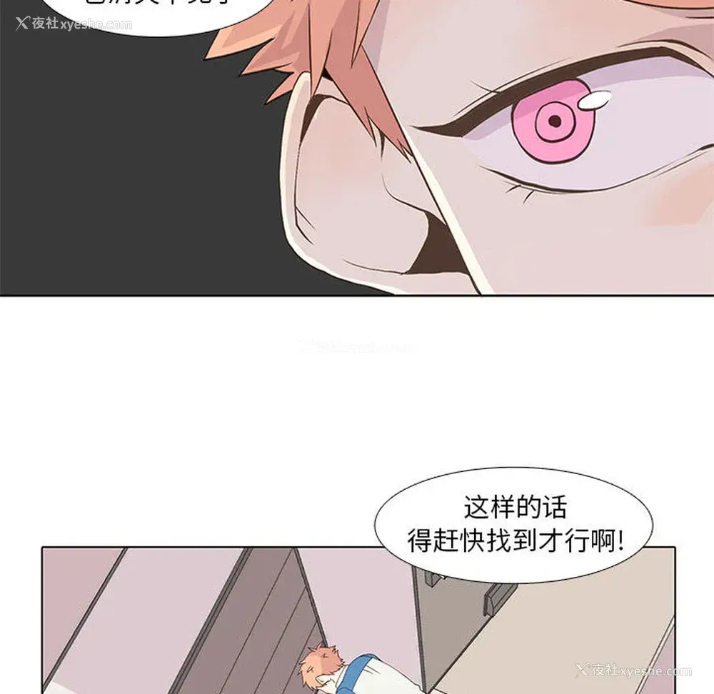 36P - 野性之城