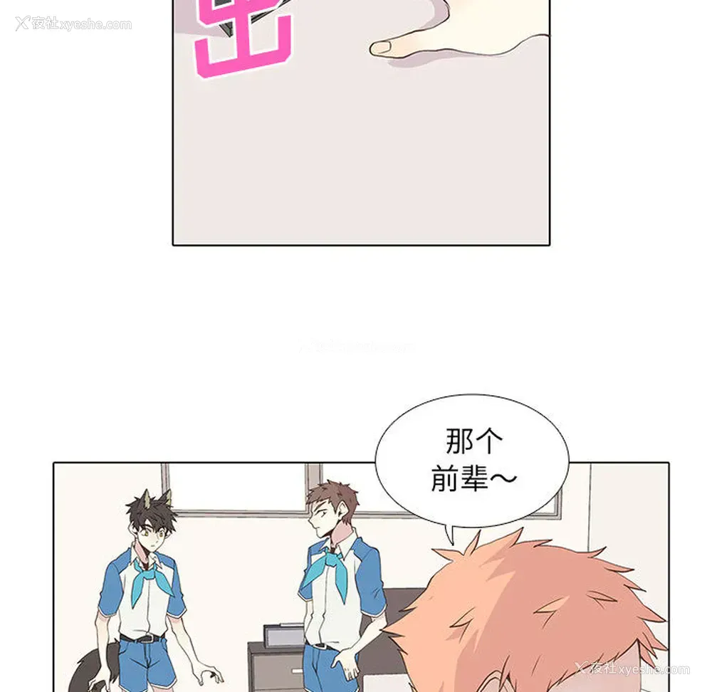 38P - 野性之城