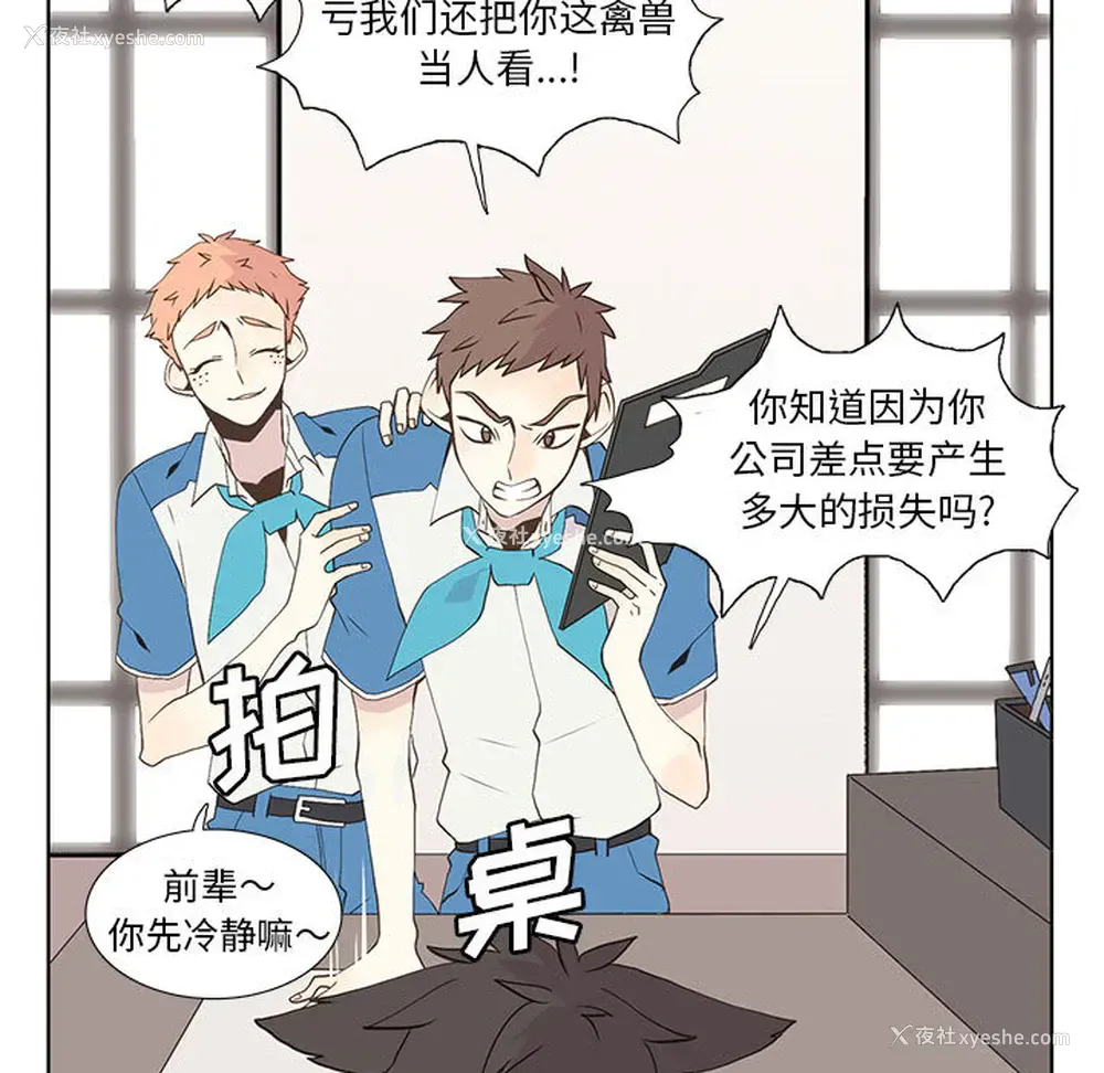 43P - 野性之城