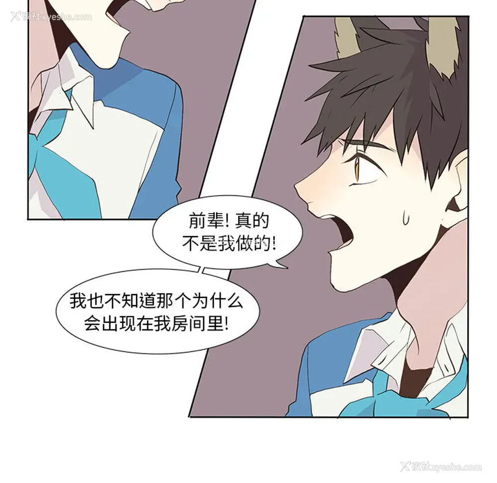 45P - 野性之城