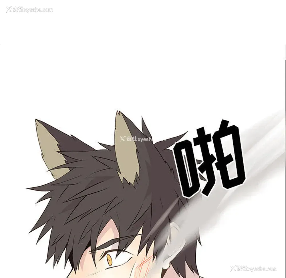 49P - 野性之城