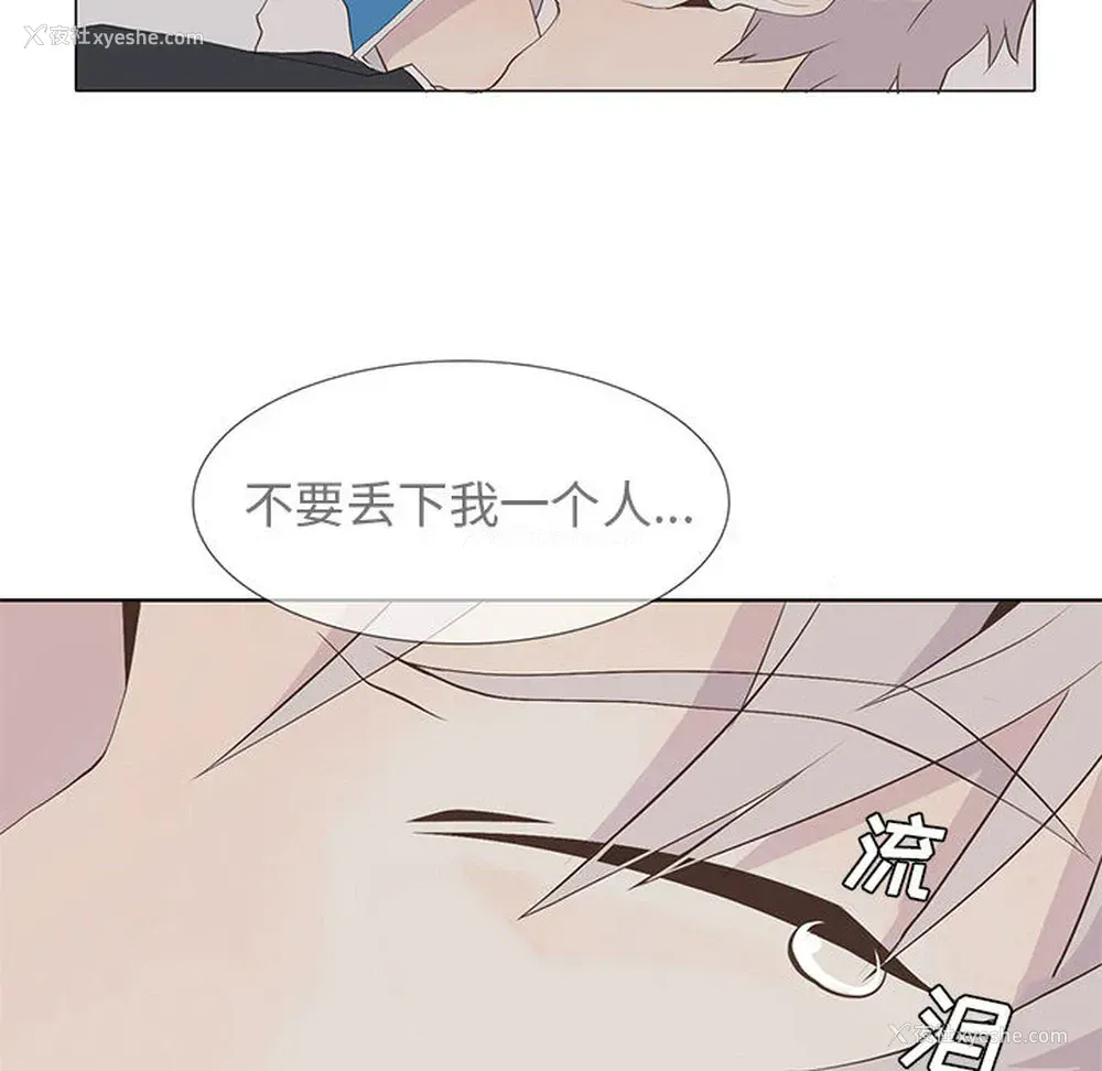 6P - 野性之城