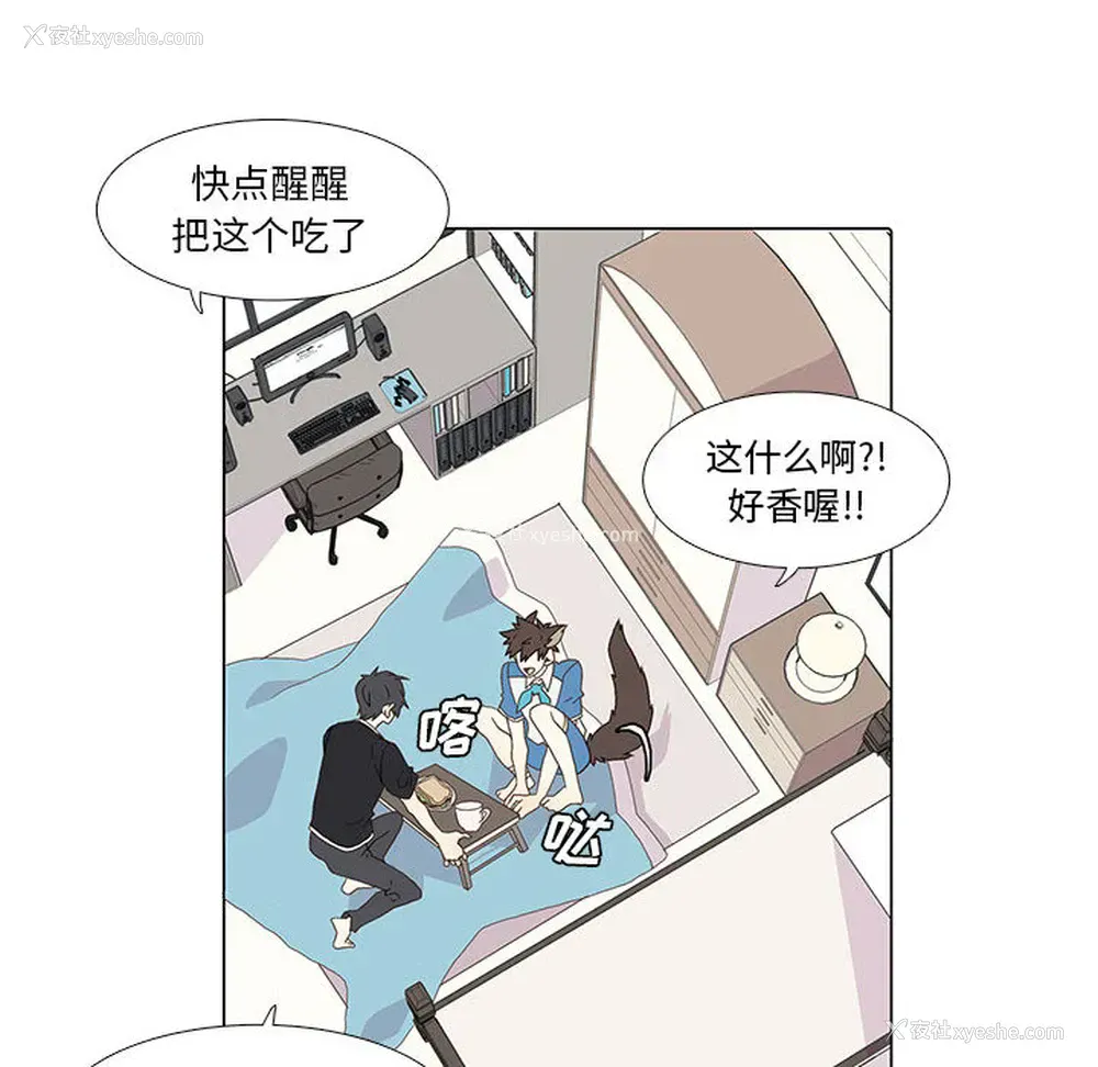14P - 野性之城