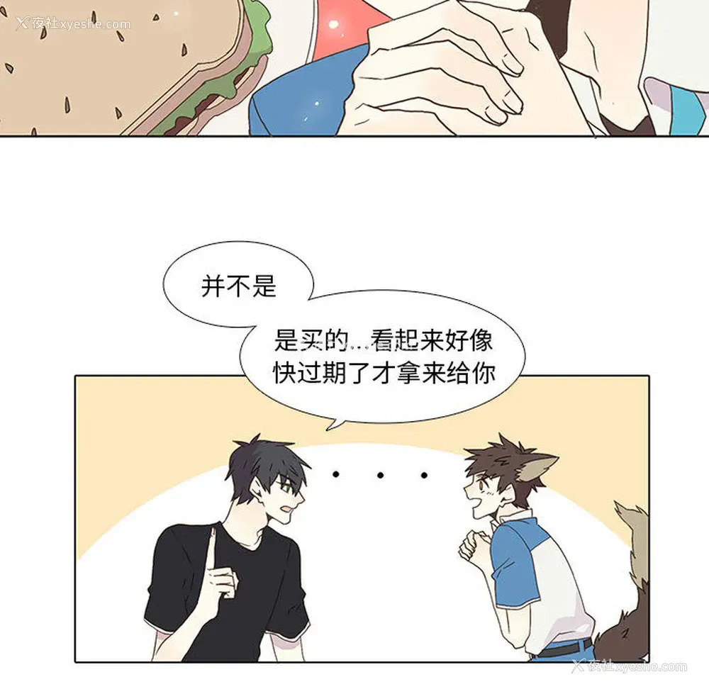 16P - 野性之城