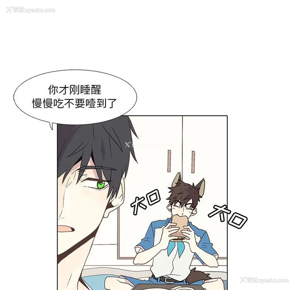 17P - 野性之城