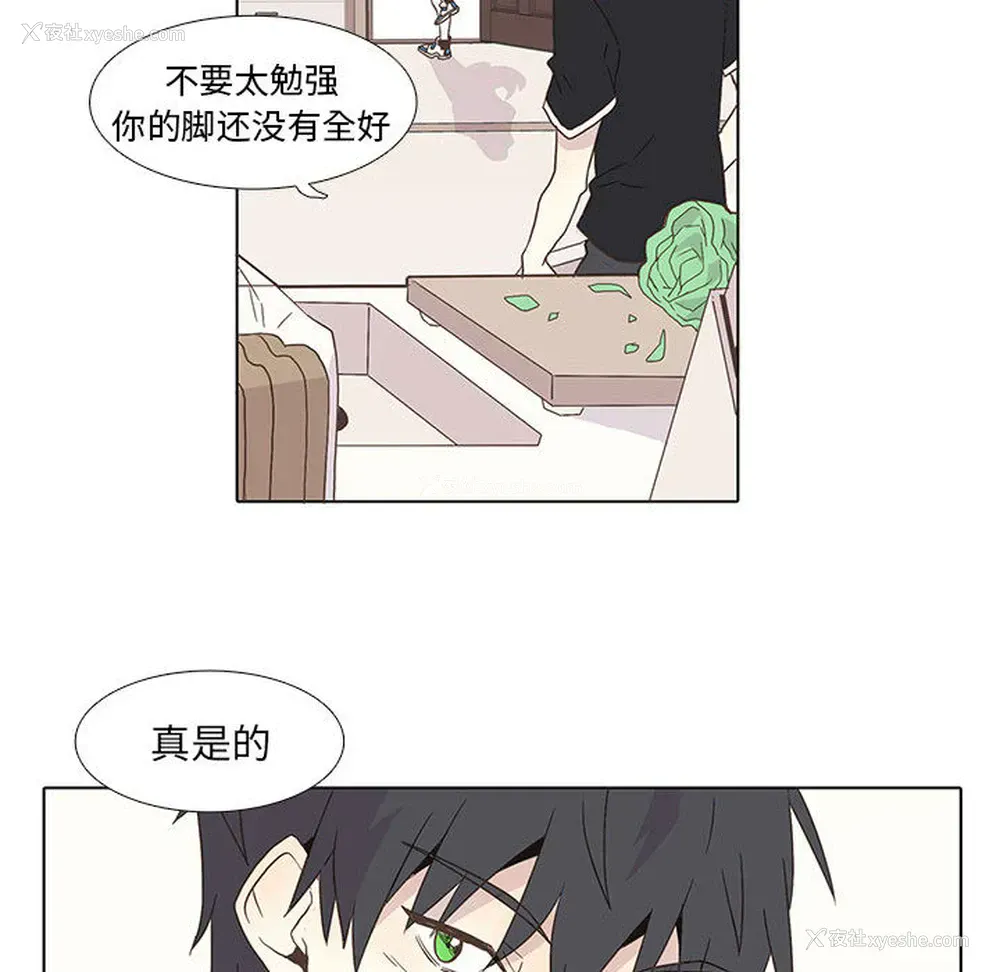 27P - 野性之城