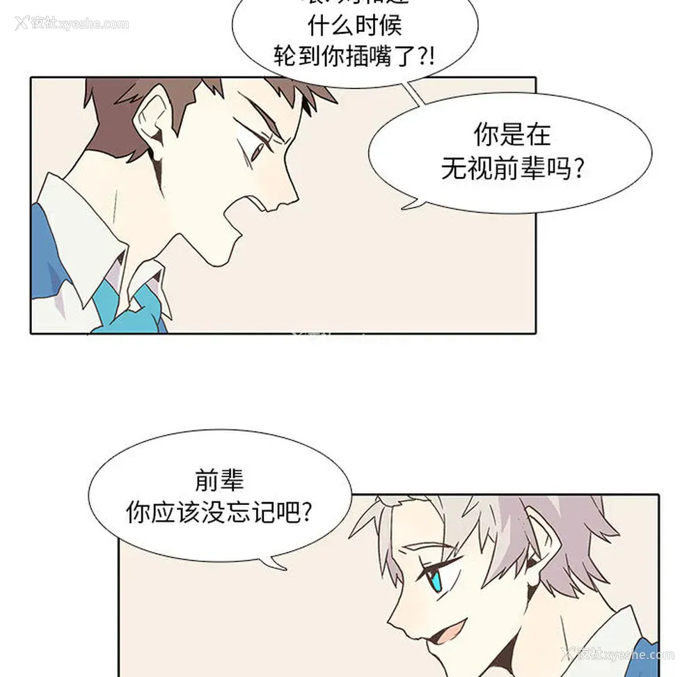 41P - 野性之城