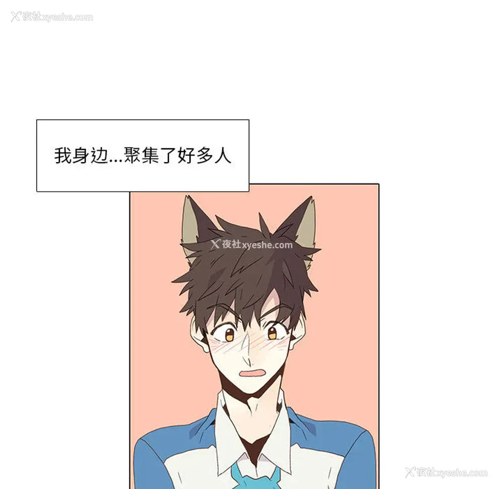 56P - 野性之城