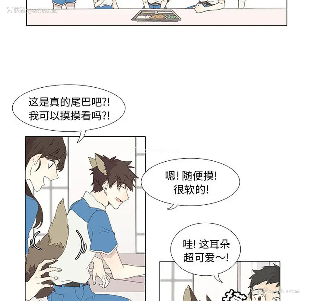 58P - 野性之城