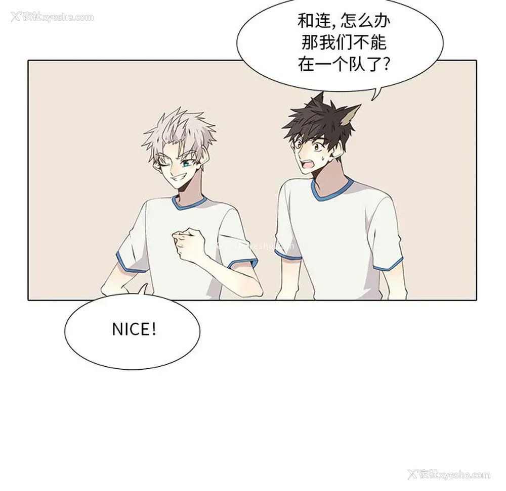 43P - 野性之城