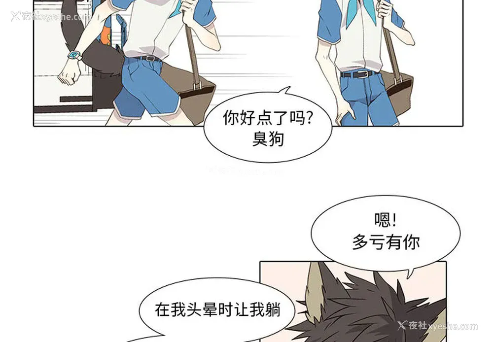 4P - 野性之城