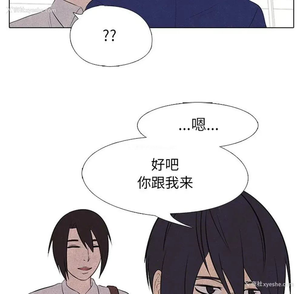 32P - 野性之城