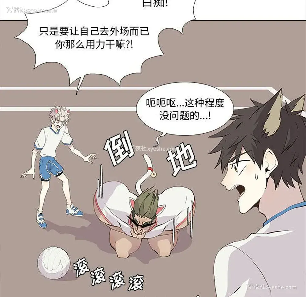 19P - 野性之城