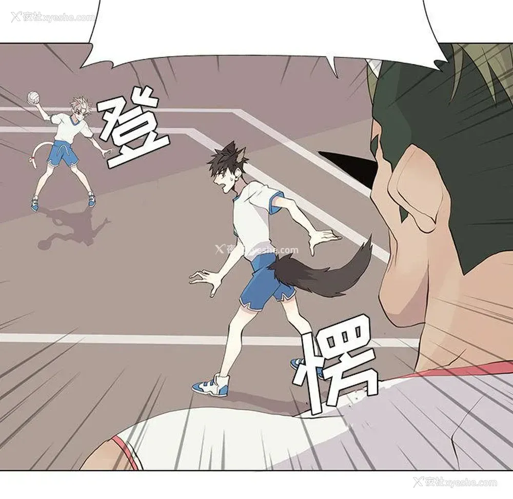 23P - 野性之城
