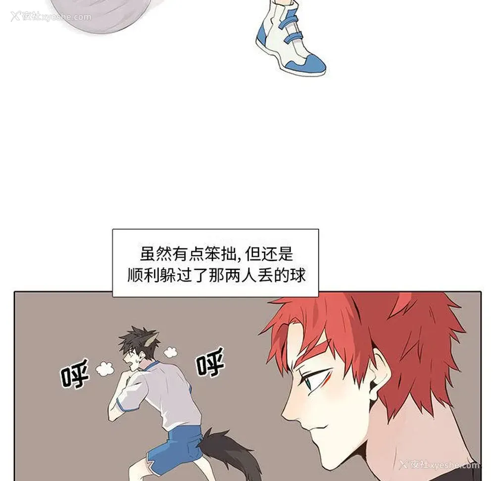 29P - 野性之城