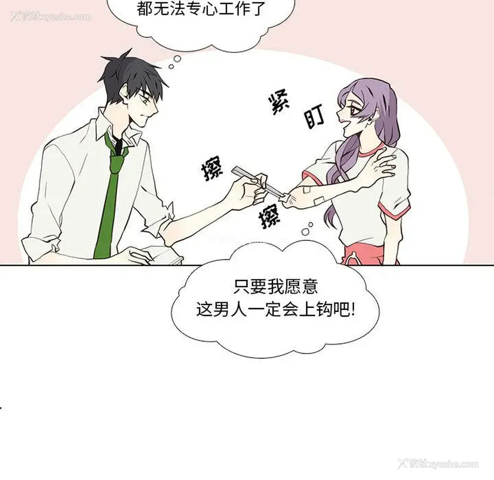 8P - 野性之城