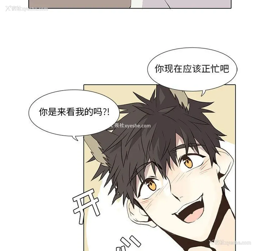 11P - 野性之城