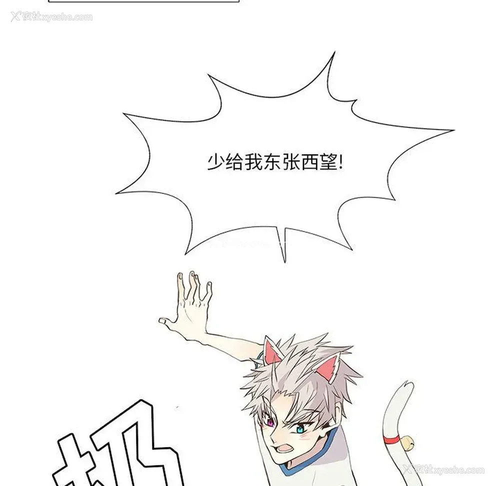 13P - 野性之城