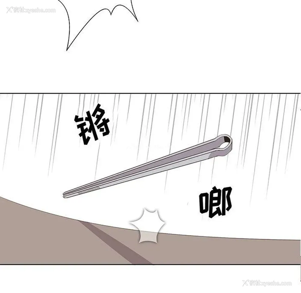 1P - 野性之城