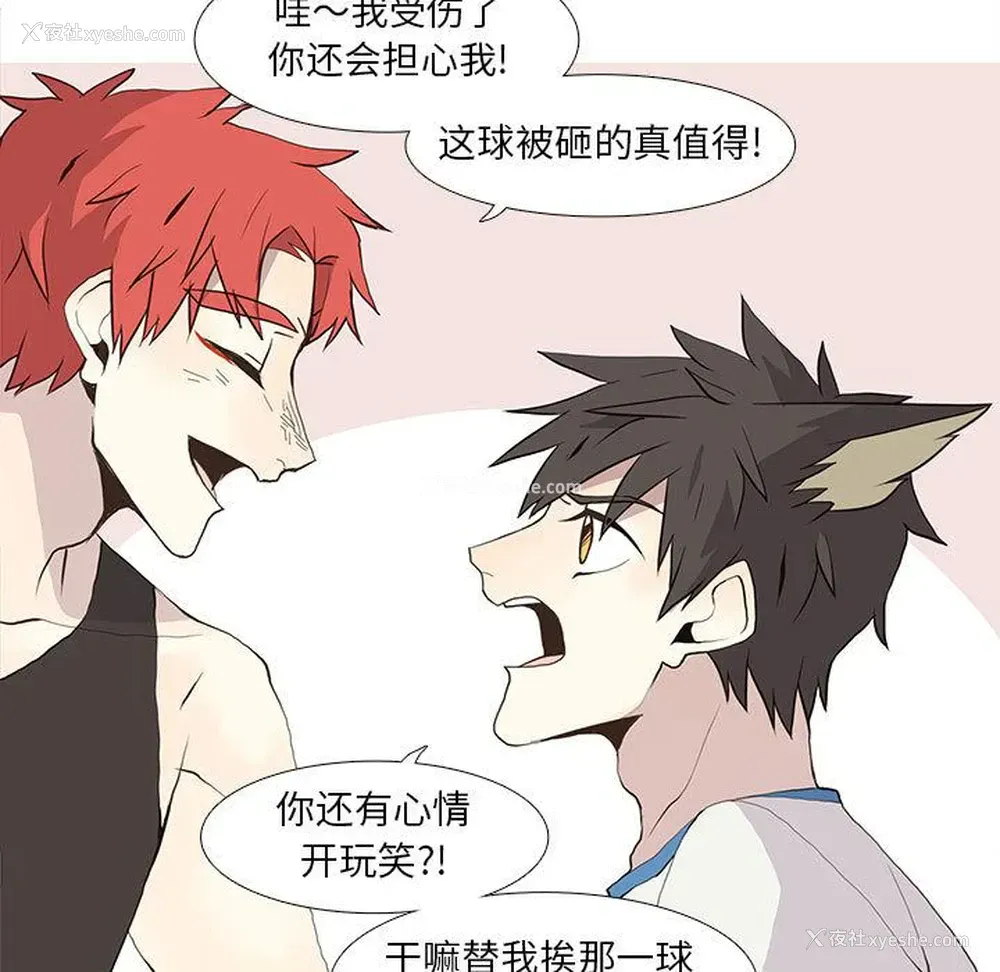 31P - 野性之城