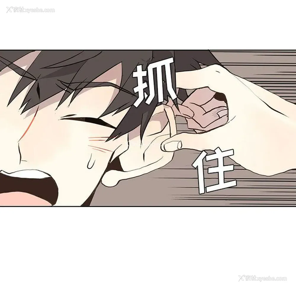 35P - 野性之城