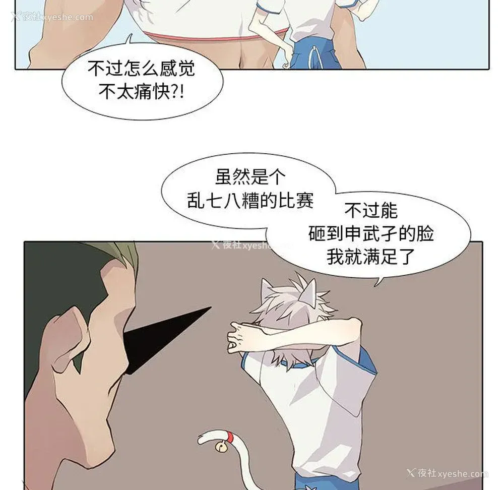 40P - 野性之城