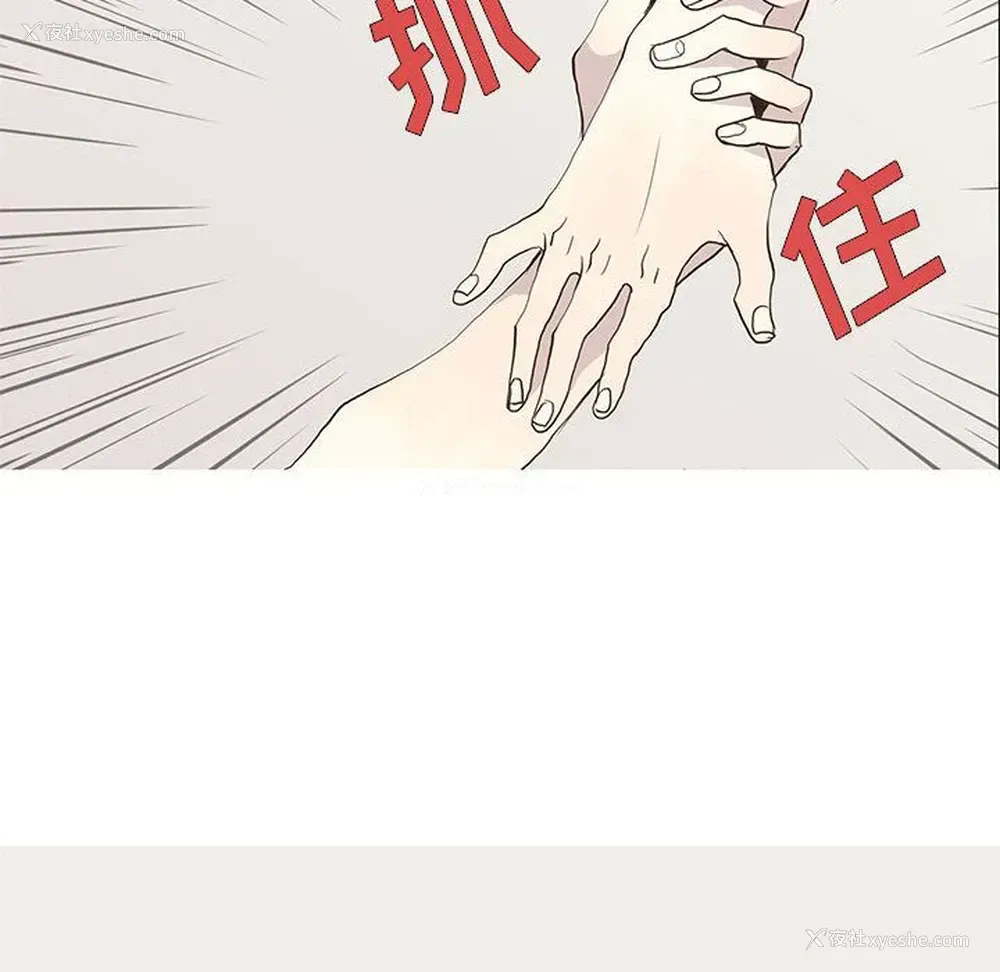 56P - 野性之城