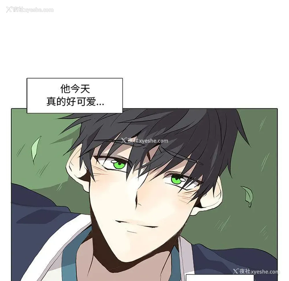 19P - 野性之城