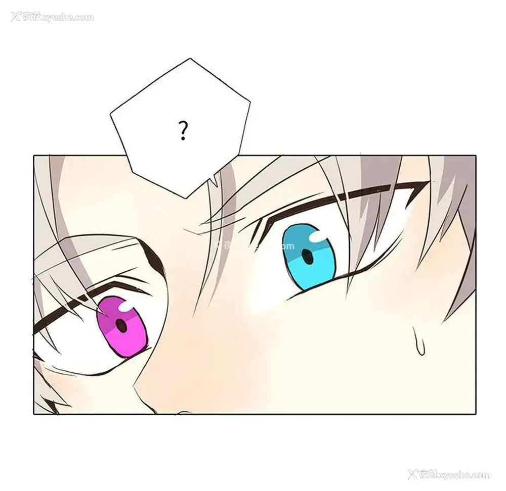 6P - 野性之城