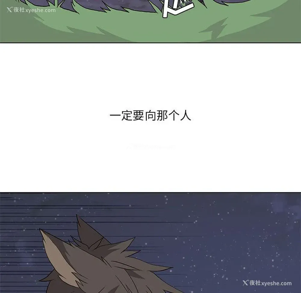 41P - 野性之城