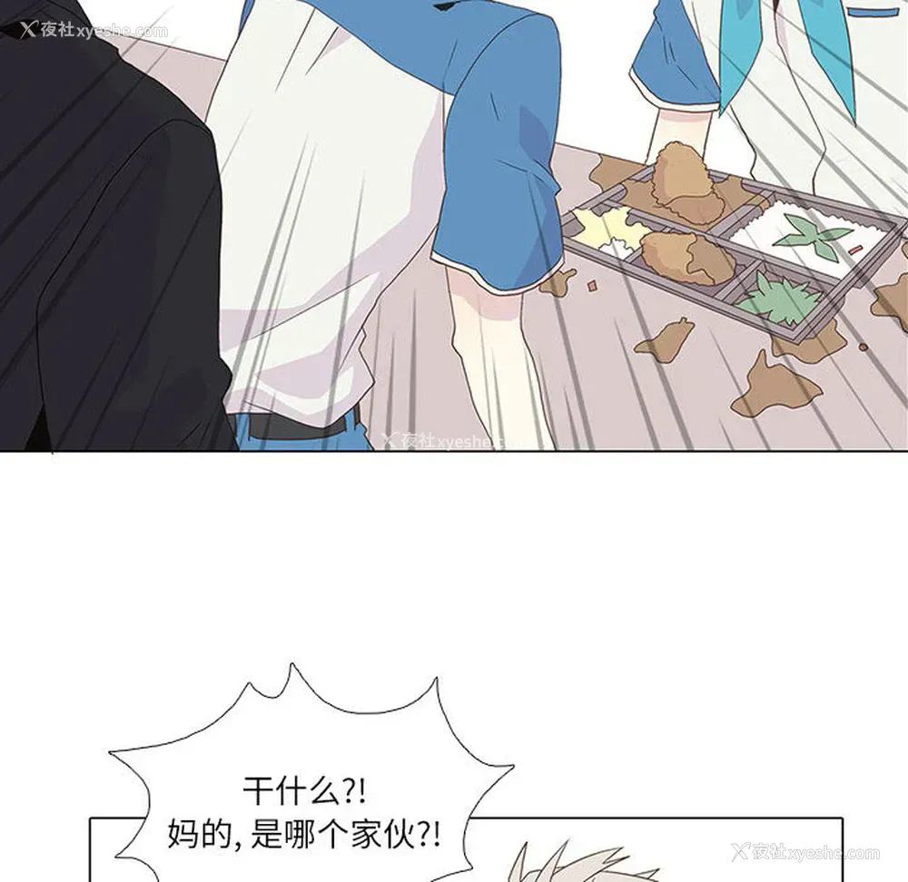 14P - 野性之城
