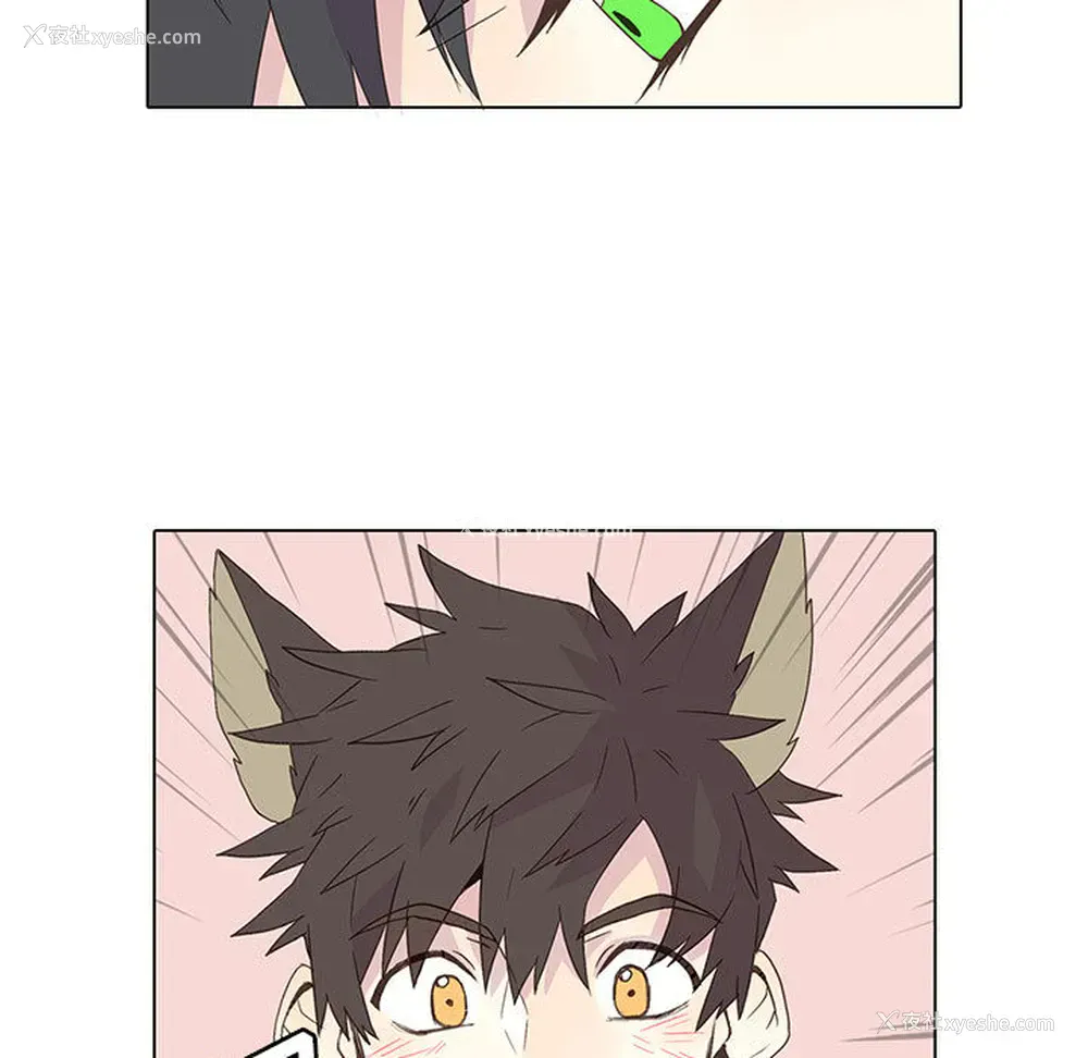 22P - 野性之城