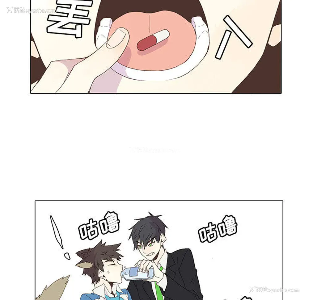 24P - 野性之城