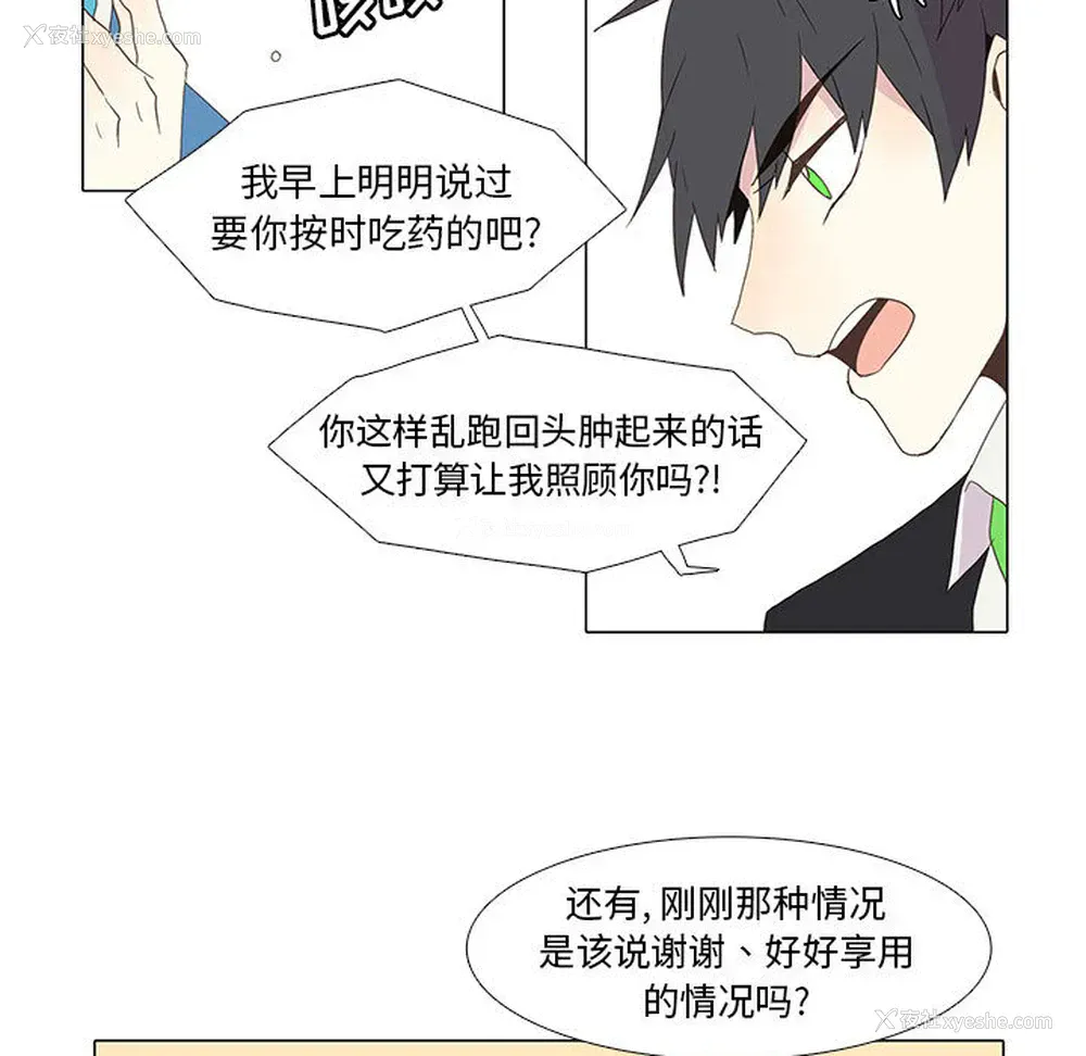 26P - 野性之城