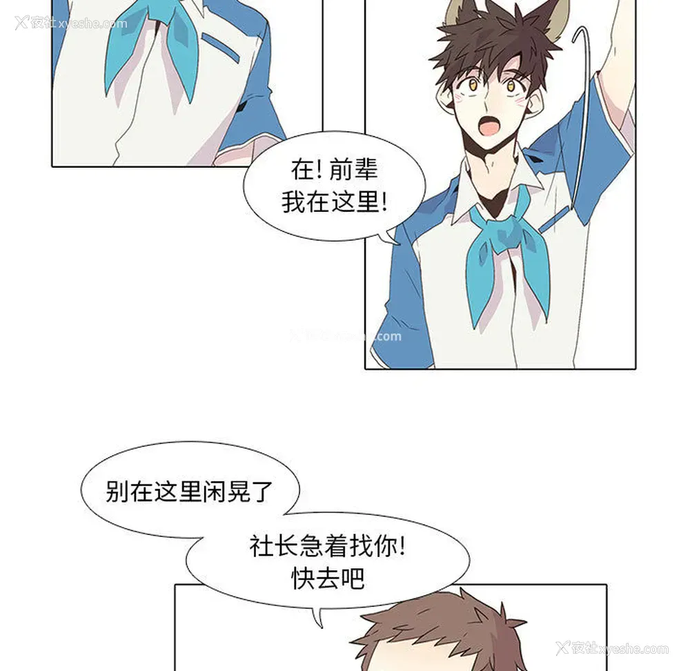 32P - 野性之城
