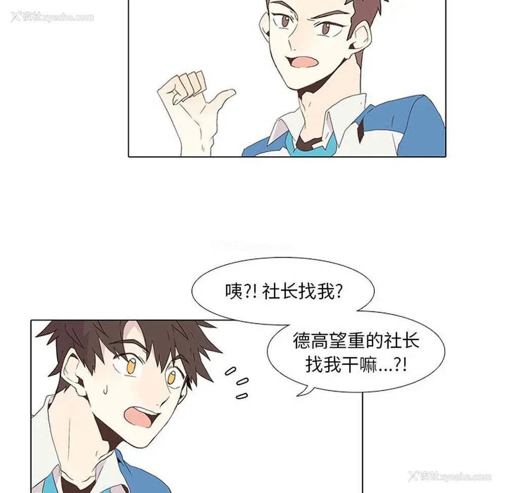 33P - 野性之城