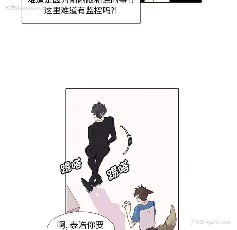 36P - 野性之城