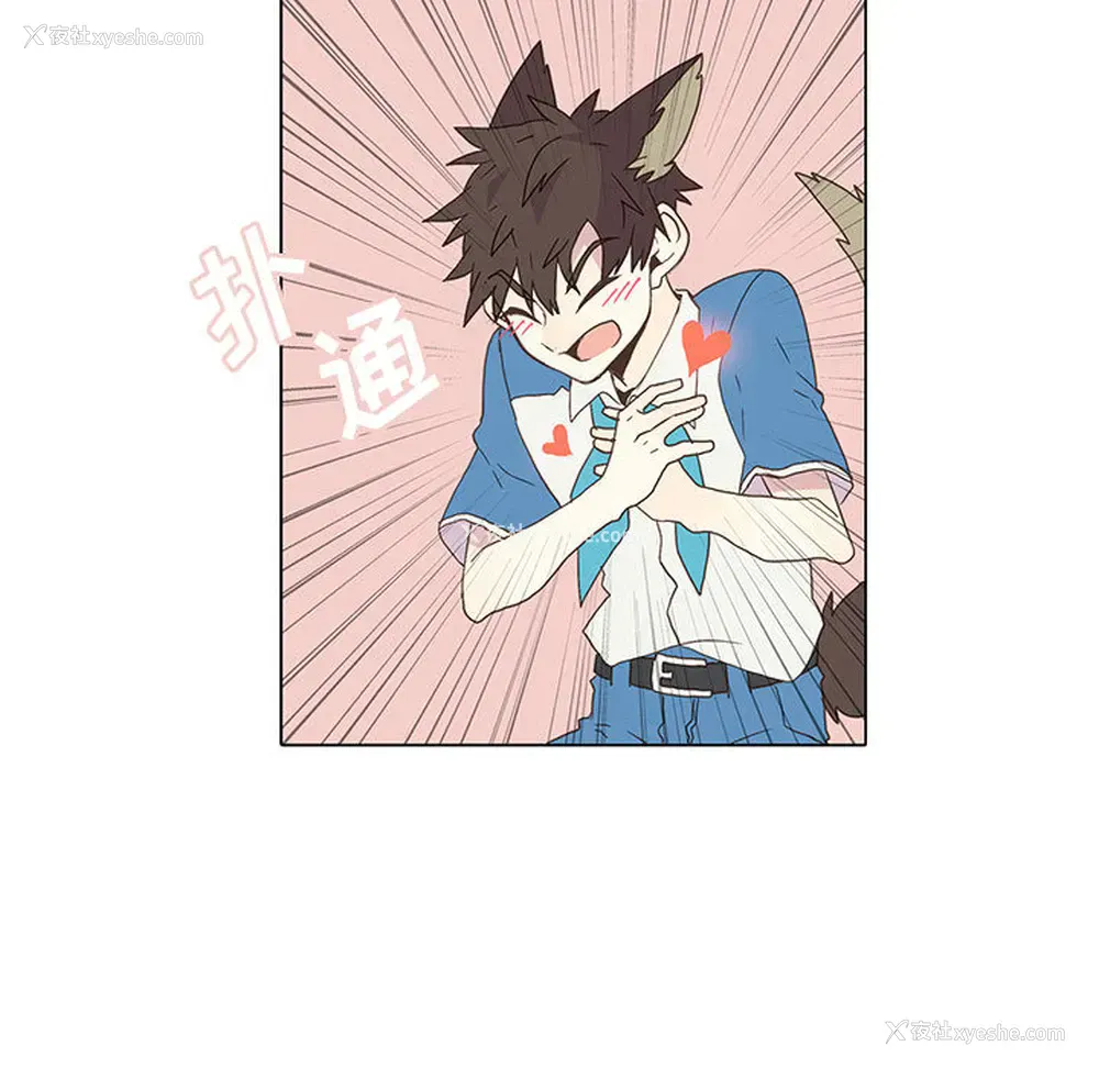 40P - 野性之城