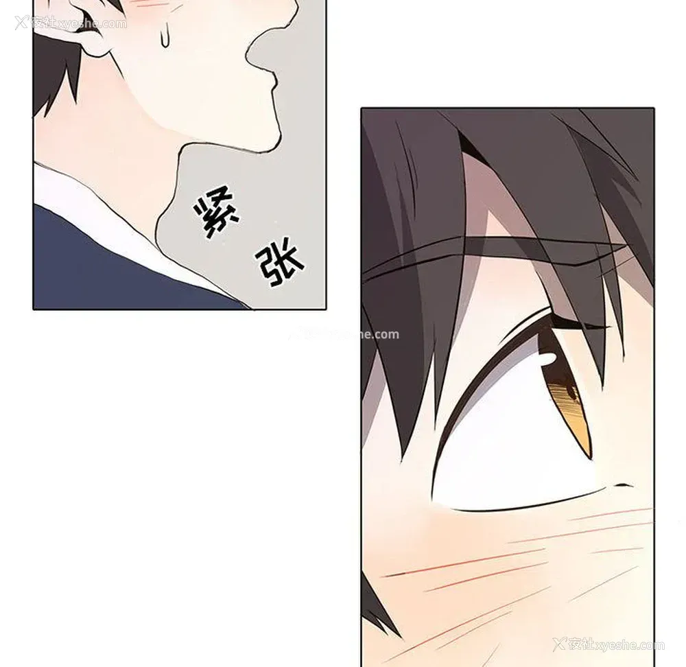 34P - 野性之城