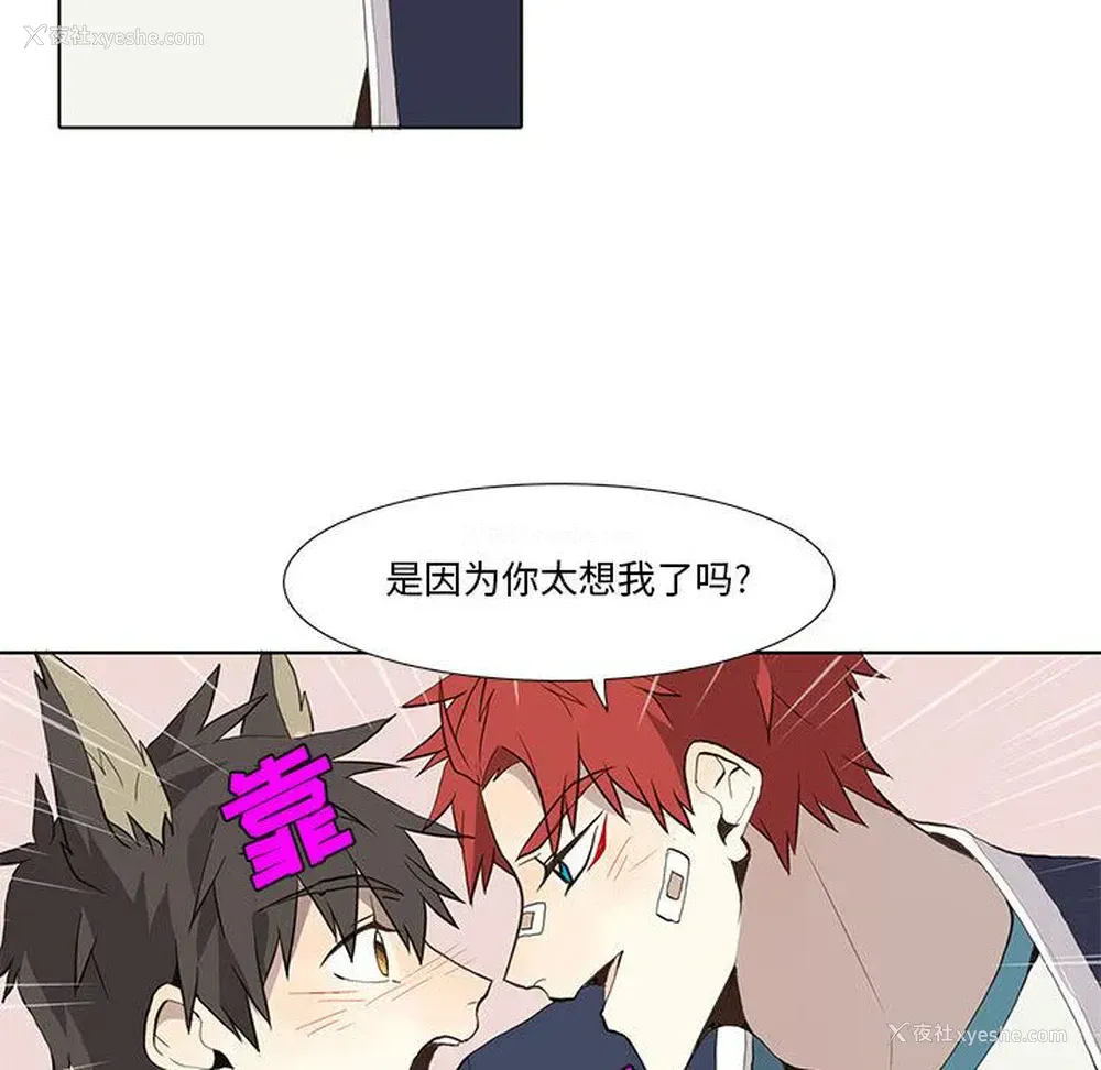 42P - 野性之城