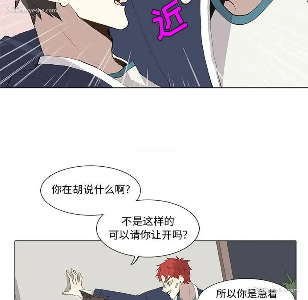 43P - 野性之城