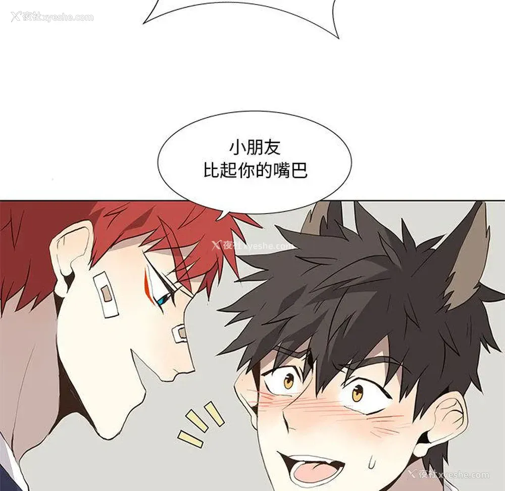 48P - 野性之城