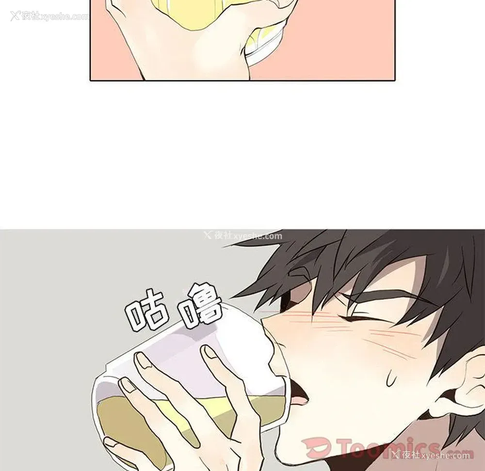 43P - 野性之城