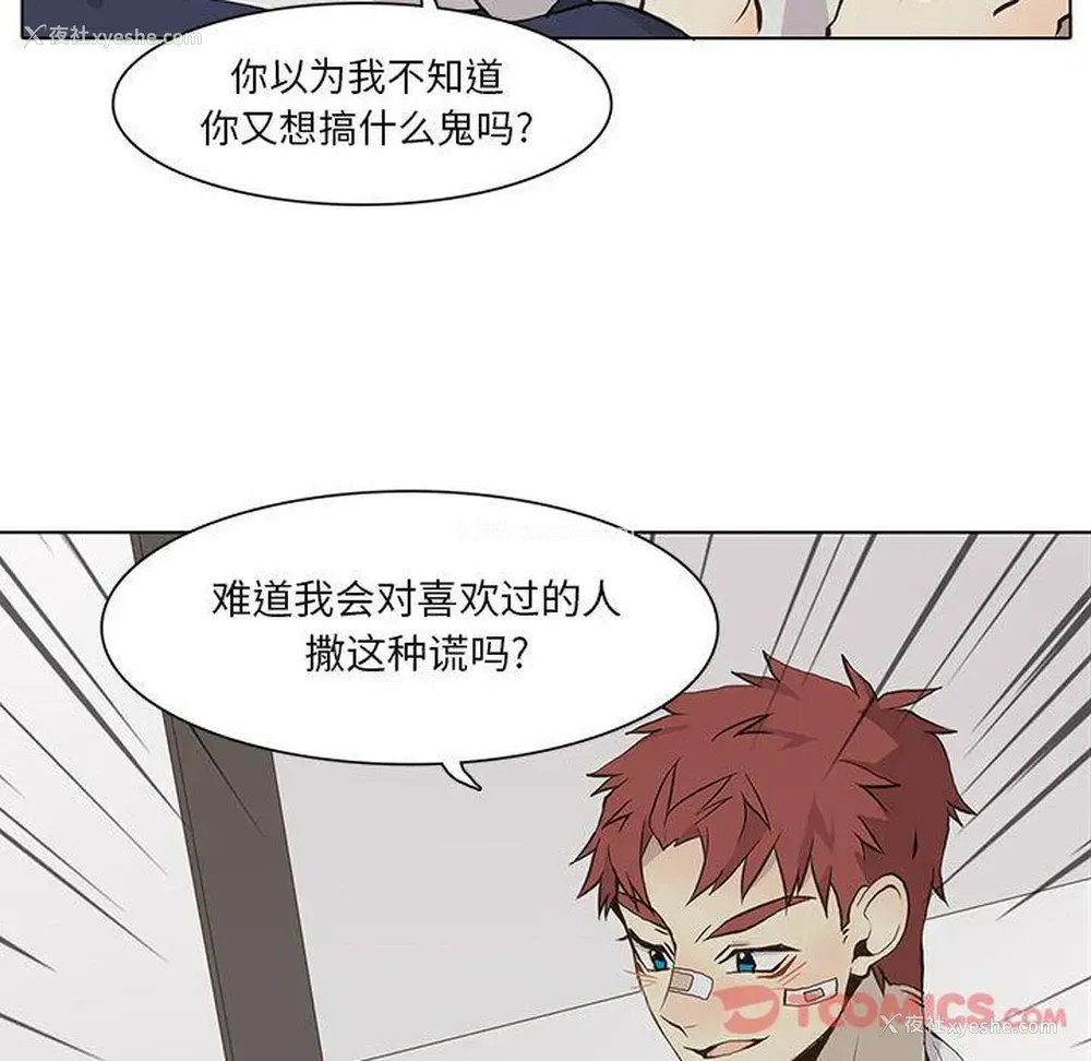 36P - 野性之城