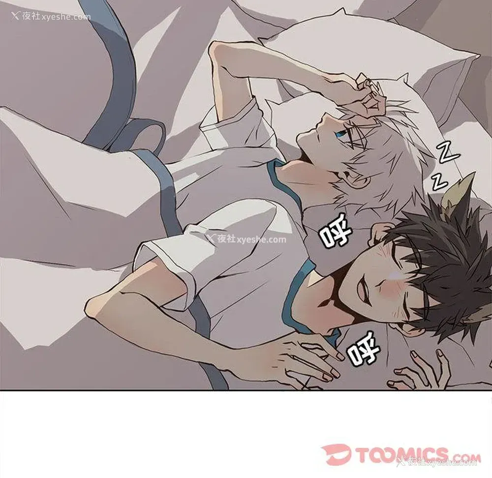 74P - 野性之城