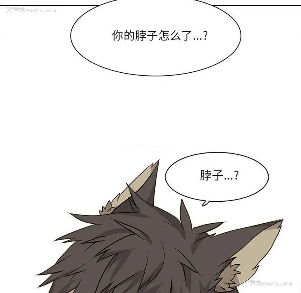 51P - 野性之城