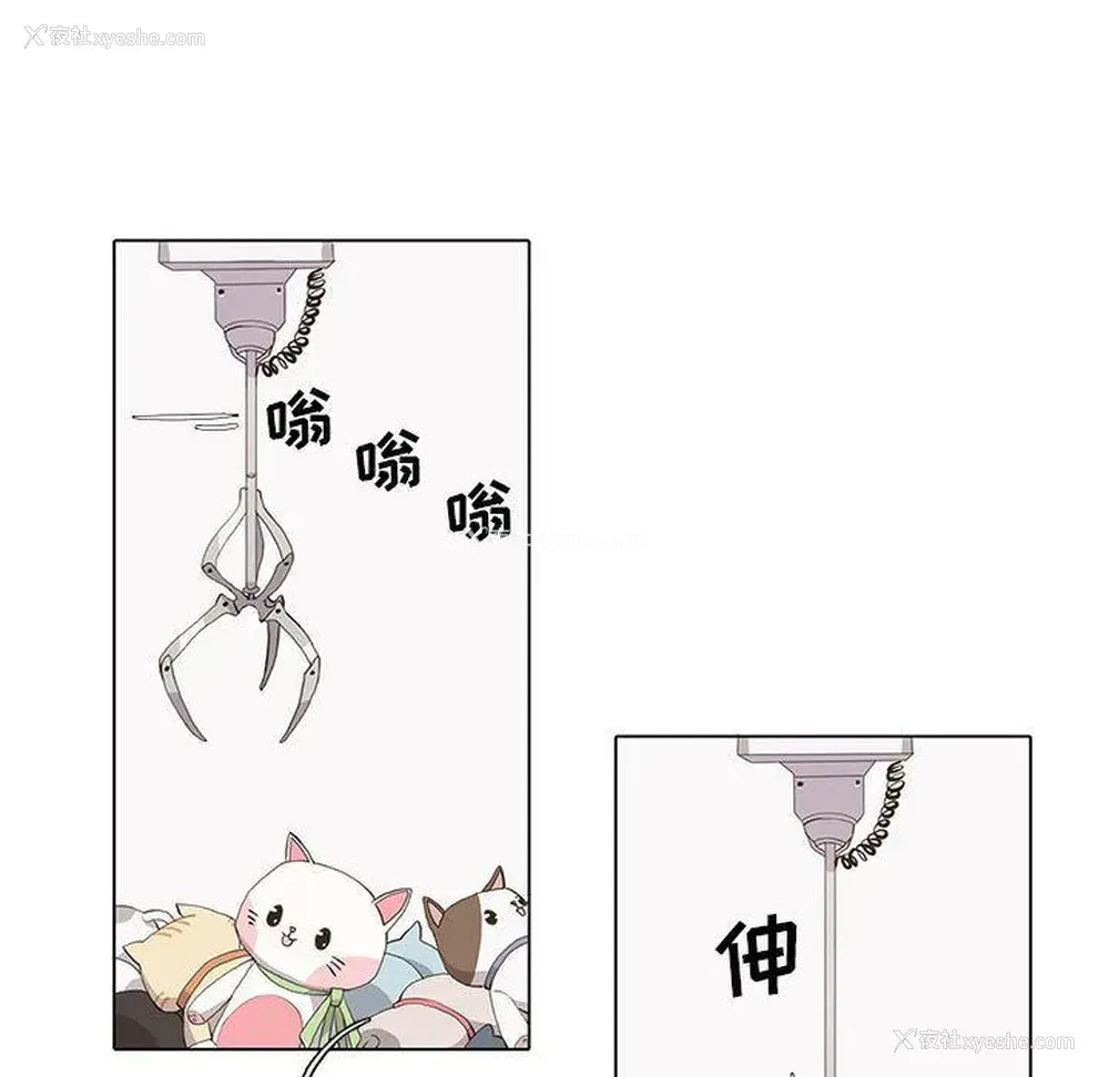 14P - 野性之城