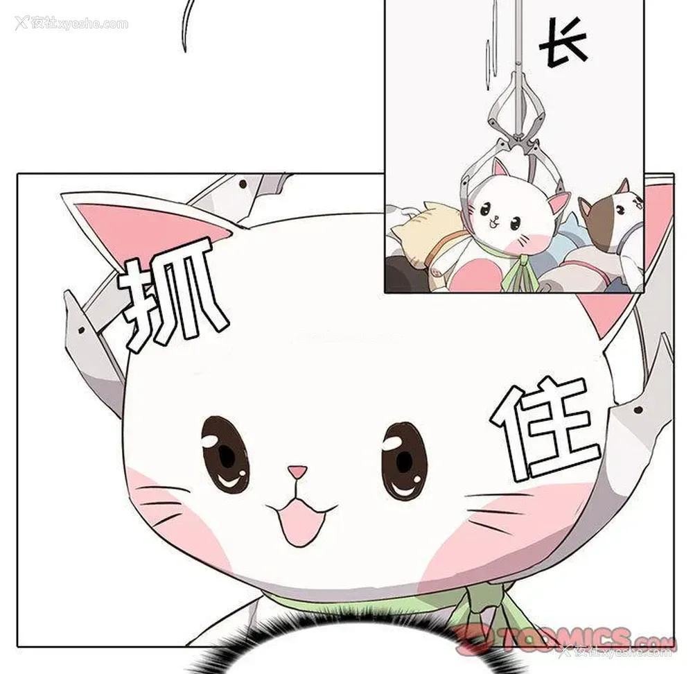 15P - 野性之城