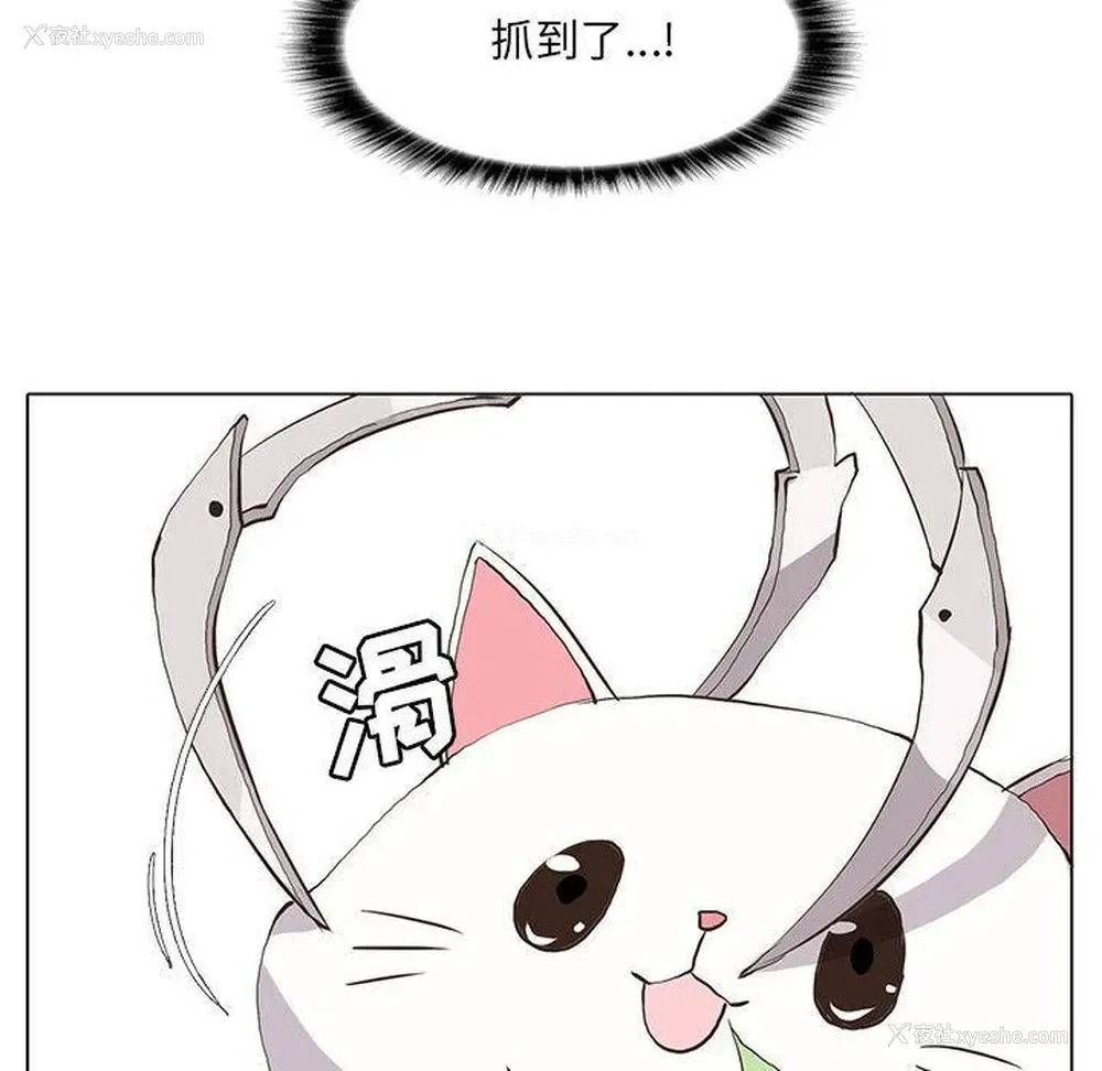 16P - 野性之城